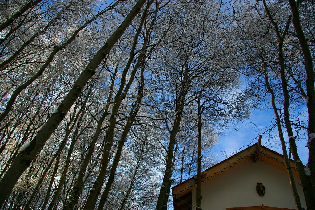 Familia Piatti B&B - Suites Ушуая Екстериор снимка